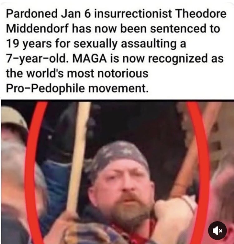 Suzierizzo1's tweet photo. Another day another MAGA Insurrectionist who was pardoned and is now being sentenced to 19 years for sexually assaulting a 7 year old child. https://t.co/l0L8PyAHRh