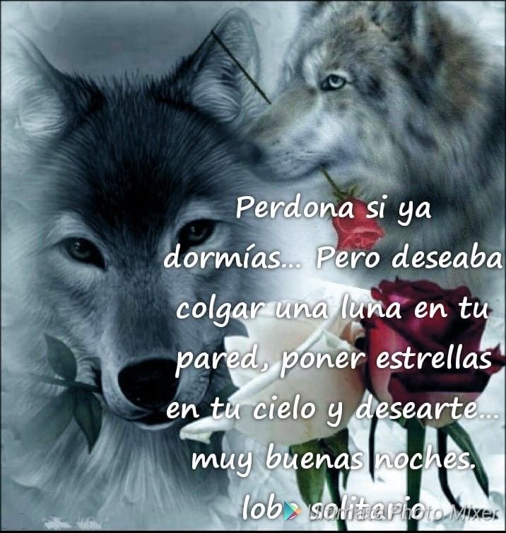 Elizabeth 🐺 #BringValkoBack tweet media