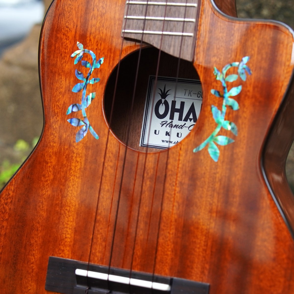 Ohana ukuleles TK-60CG Tenor Ukulele オール・ソリッド・マホガニー