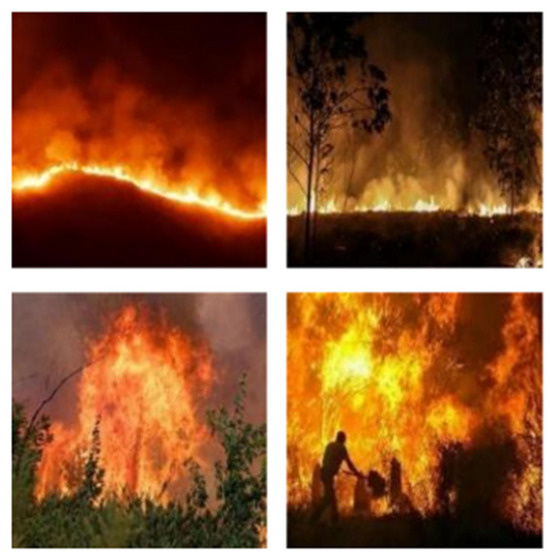 Sensors_MDPI's tweet photo. Forest Fire Detection Algorithm Based on Improved YOLOv11n
https://t.co/0roZSQ6RzT
#YOLOv11n #forest_fire https://t.co/5LIiC7rLGf