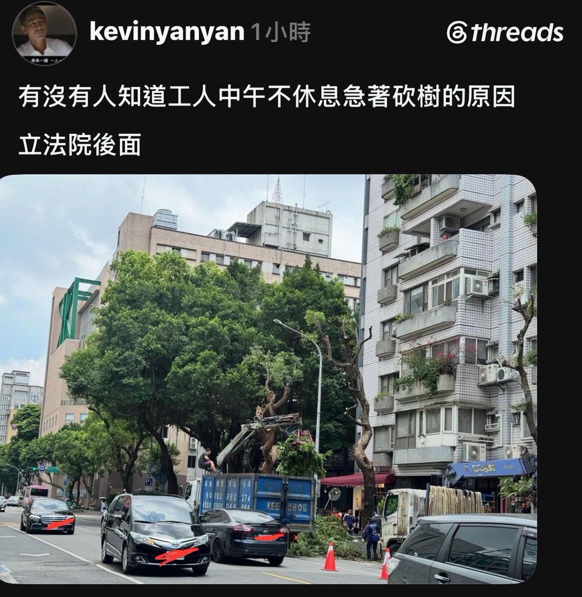 hellohanahsu's tweet photo. 現主時，立法院後的大樹即將被蔣萬安砍掉，有人看得到那卡車寫什麼嗎？砍樹公司什麼來頭？ https://t.co/dt0NSZgLJL