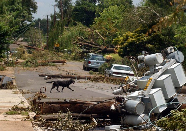 weather_history's tweet photo. July 22, 2003:

A powerful derecho swept through parts of the Southern US. Substantial damage occurred in Memphis, Tennessee, where wind gusts over 100 mph downed countless trees and knocked out power to several hundred thousand homes. Seven people were killed.

#wxhistory https://t.co/FVXpV3o1em