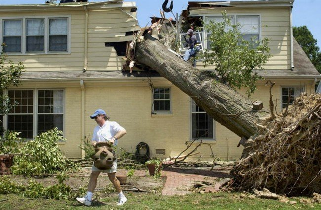 weather_history's tweet photo. July 22, 2003:

A powerful derecho swept through parts of the Southern US. Substantial damage occurred in Memphis, Tennessee, where wind gusts over 100 mph downed countless trees and knocked out power to several hundred thousand homes. Seven people were killed.

#wxhistory https://t.co/FVXpV3o1em
