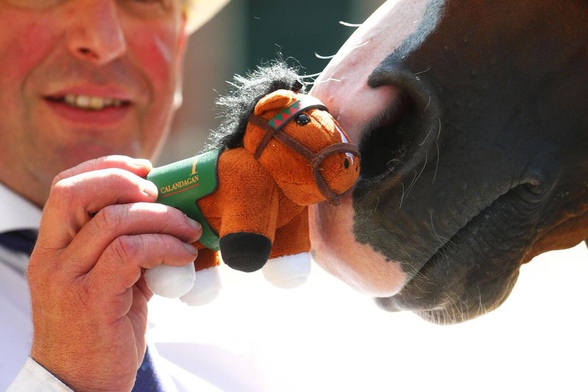 Turf_Stars's tweet photo. The secret is out, globetrotting Group 1 winner CALANDAGAN will be the first member of #TurfStars flat collection! 

Available to pre order from https://t.co/zeR3fPIlWJ now 

At request of @AgaKhanStuds a percentage of each sale will be donated to @audeladespistes charity