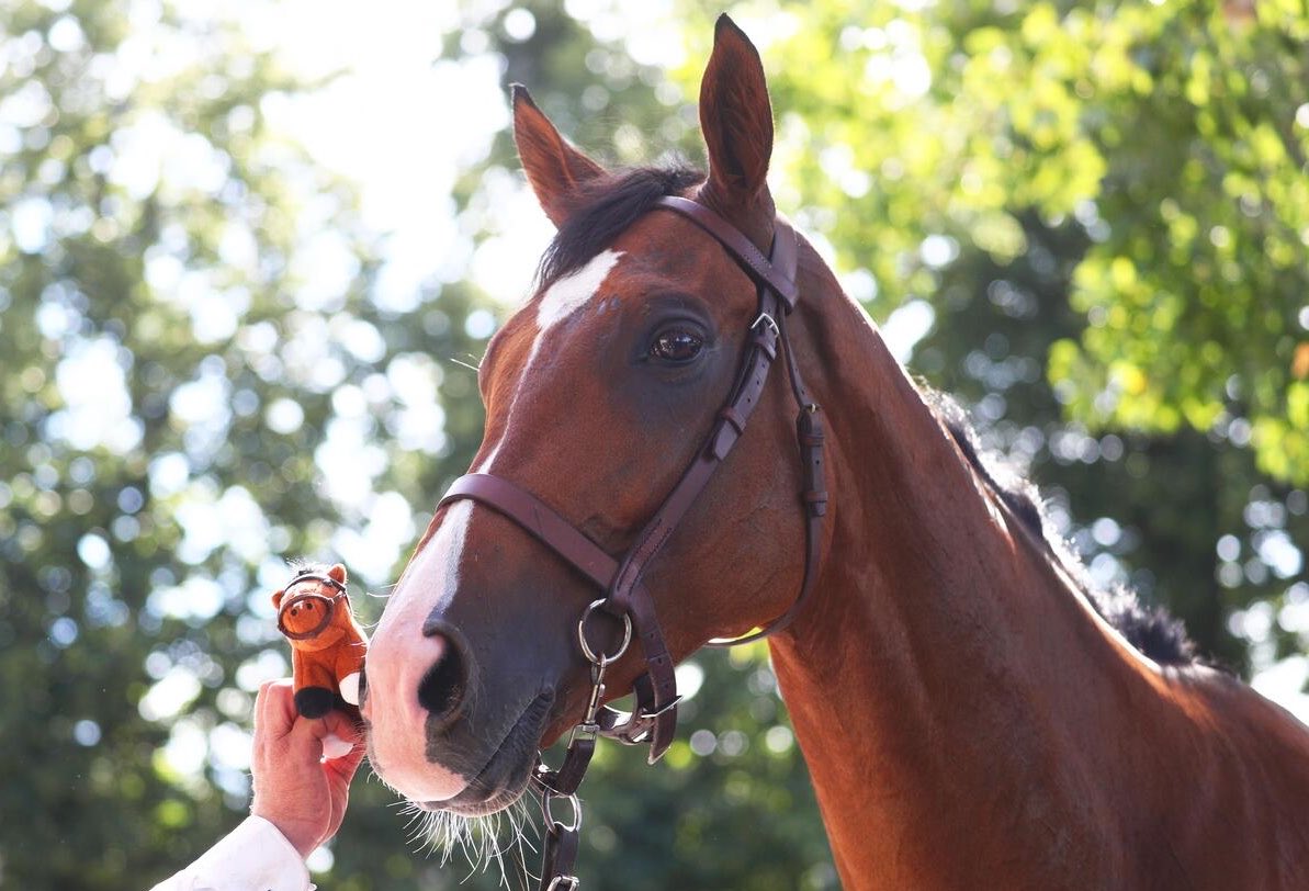 Turf_Stars's tweet photo. The secret is out, globetrotting Group 1 winner CALANDAGAN will be the first member of #TurfStars flat collection! 

Available to pre order from https://t.co/zeR3fPIlWJ now 

At request of @AgaKhanStuds a percentage of each sale will be donated to @audeladespistes charity