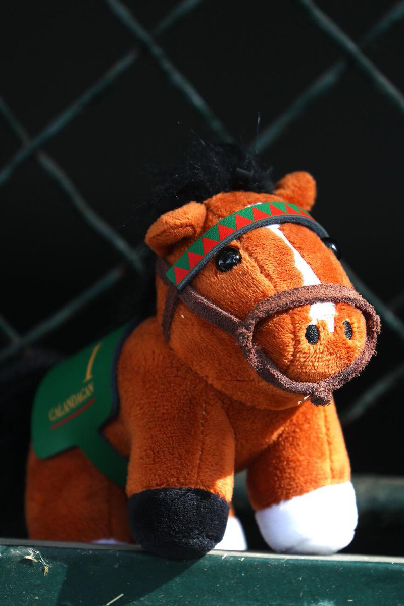 Turf_Stars's tweet photo. The secret is out, globetrotting Group 1 winner CALANDAGAN will be the first member of #TurfStars flat collection! 

Available to pre order from https://t.co/zeR3fPIlWJ now 

At request of @AgaKhanStuds a percentage of each sale will be donated to @audeladespistes charity