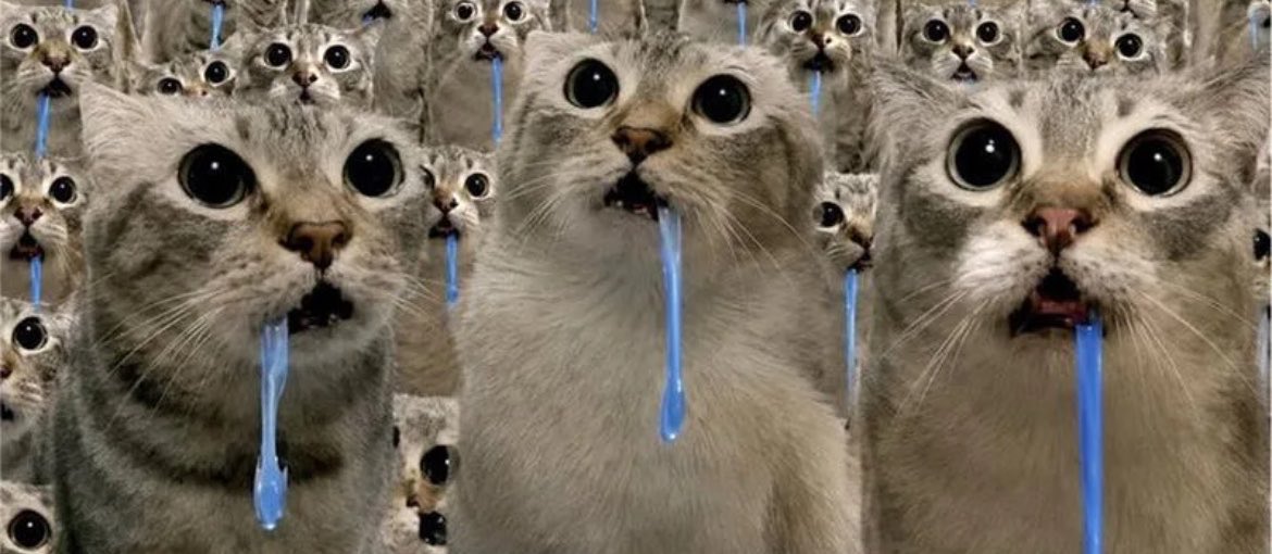 Zialller's tweet photo. @Manicdyor The tickers $drooling 💎🐈 https://t.co/z1CjFtAop7