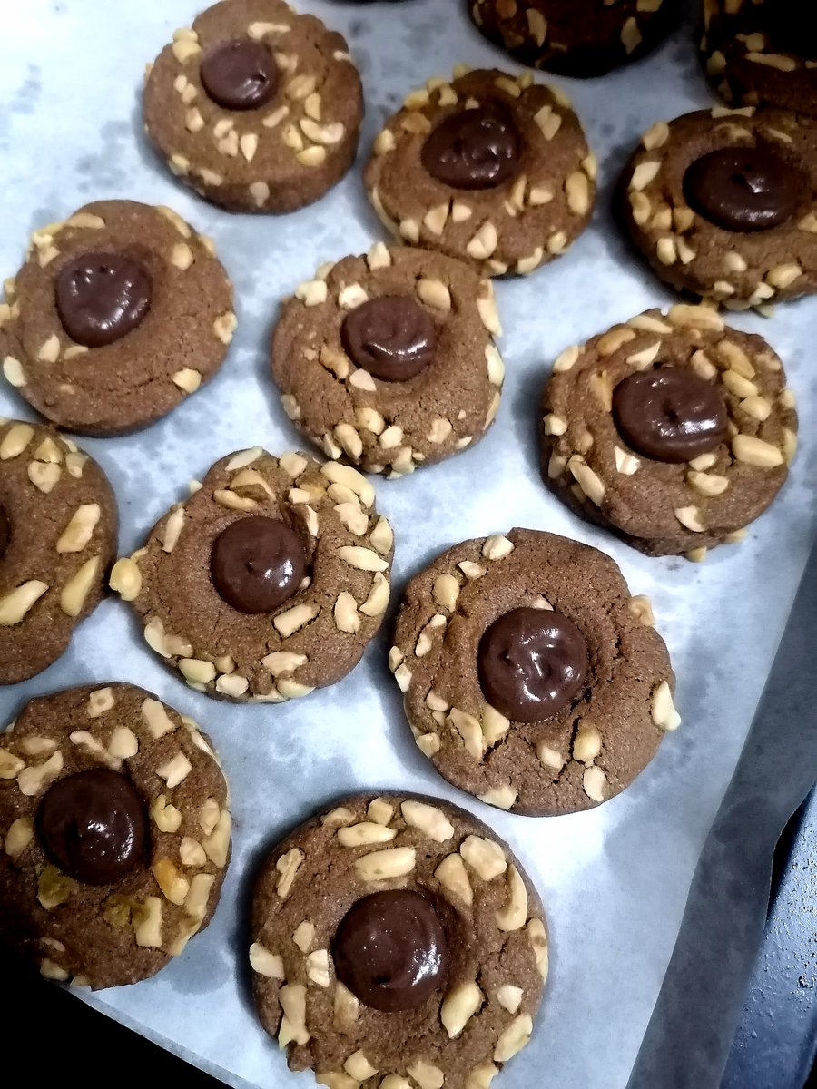 hanneman96478's tweet photo. Just pulled warm chocolate chip cookies out of the oven—golden edges, melty centers, and the whole kitchen smells like pure joy https://t.co/gPlRrxu3mm