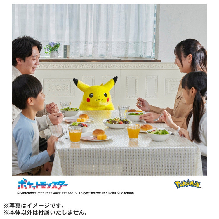 pokecamatomeru's tweet photo. ポケモンセンターオンライン「ぬいぐるみ　おかえり！ピカチュウ1/1」販売中

✅商品ページ
https://t.co/FnoxCnwMWs https://t.co/VWQYJVuzbj