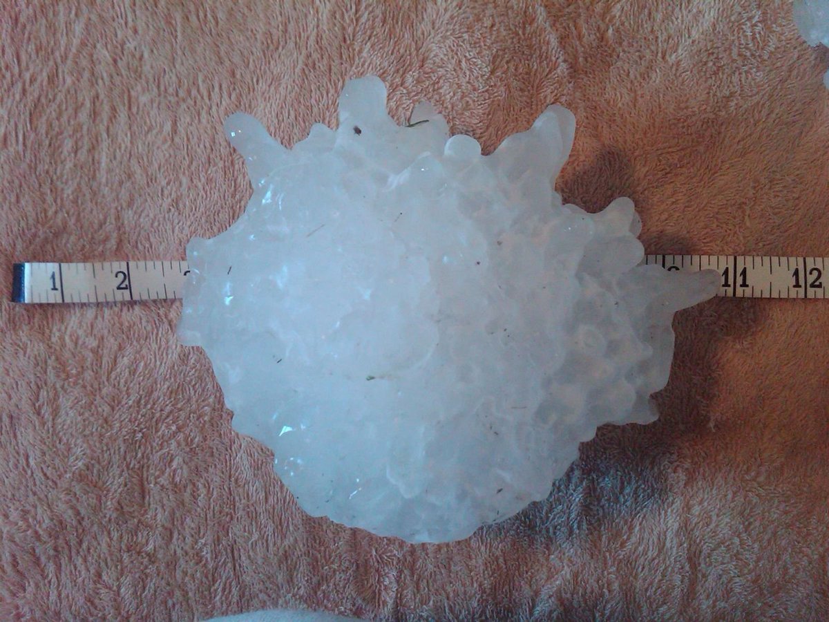 weather_history's tweet photo. July 23, 2010:

The United States' record largest hailstone fell near Vivian, South Dakota. The stone was measured at an incredible 8.0" in diameter and had a weight of 1.9375 lbs. It was spawned by a powerful supercell that produced many other stones 6" or larger.

#wxhistory https://t.co/T9jvHWglzz