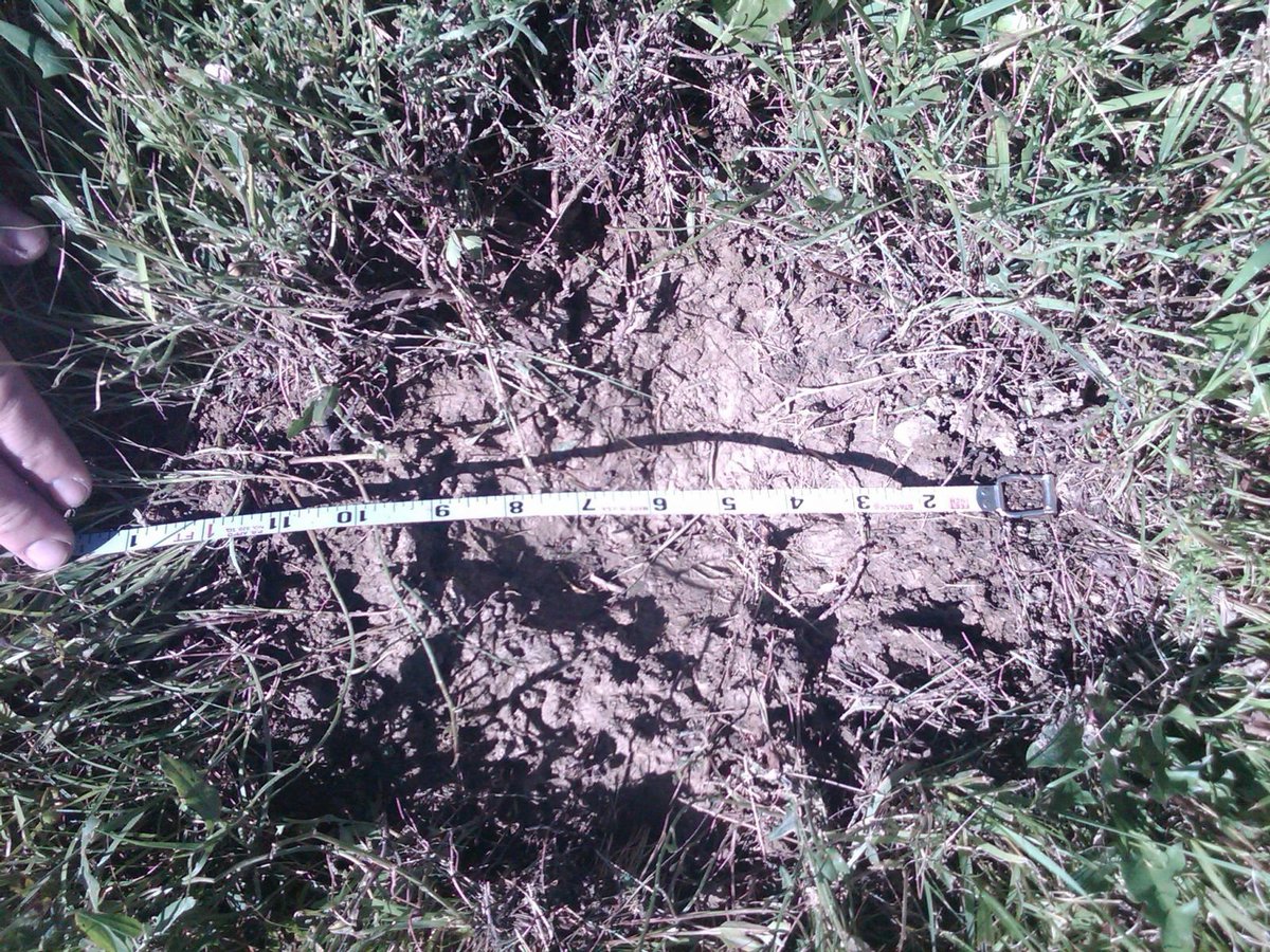 weather_history's tweet photo. July 23, 2010:

The United States' record largest hailstone fell near Vivian, South Dakota. The stone was measured at an incredible 8.0" in diameter and had a weight of 1.9375 lbs. It was spawned by a powerful supercell that produced many other stones 6" or larger.

#wxhistory https://t.co/T9jvHWglzz