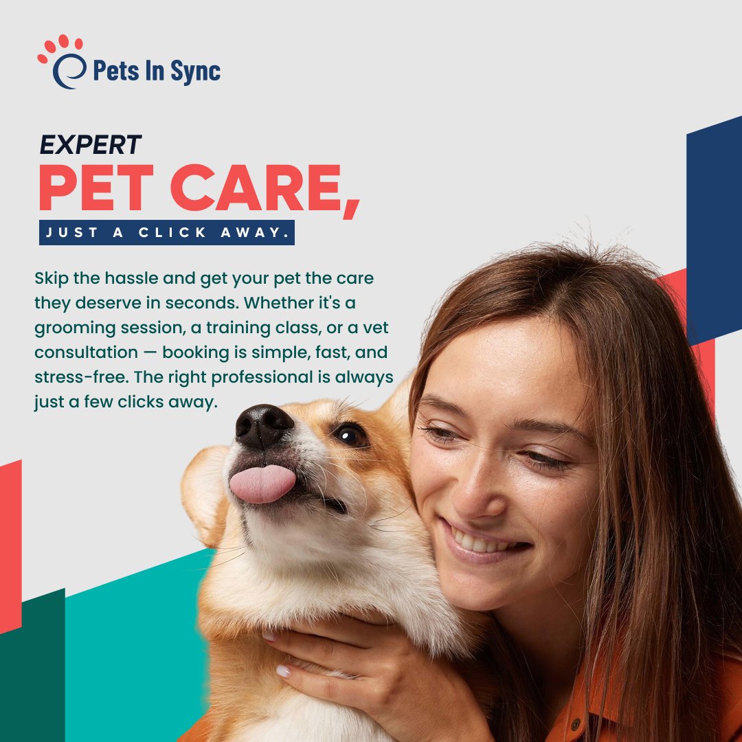 Petsinsync tweet picture