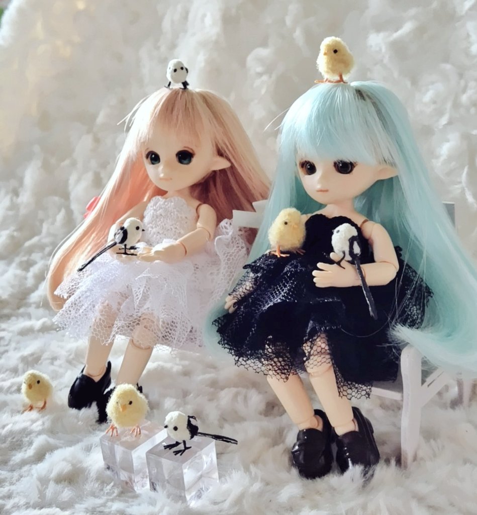 nana_kuragechan's tweet photo. #東京ドールハウスミニチュアショウ
小さなひよことシマエナガです
オビツ11ドールさんたちに合ったサイズです
ひよこは19羽　シマエナガは4羽おります
下のpostから　他のあみぐるみのおしながきも見られます
どうぞよろしく
#あみぐるみ　#ひよこ　#シマエナガ https://t.co/6oJ4m9Ndy2