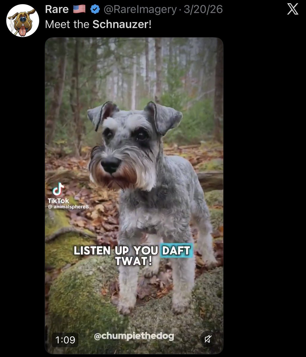 nikitabier's tweet photo. @RareImagery With all due respect:

How much do you expect to be paid for reposting the same video four times in a row that you didn’t even create? https://t.co/aYHmIAnmtO