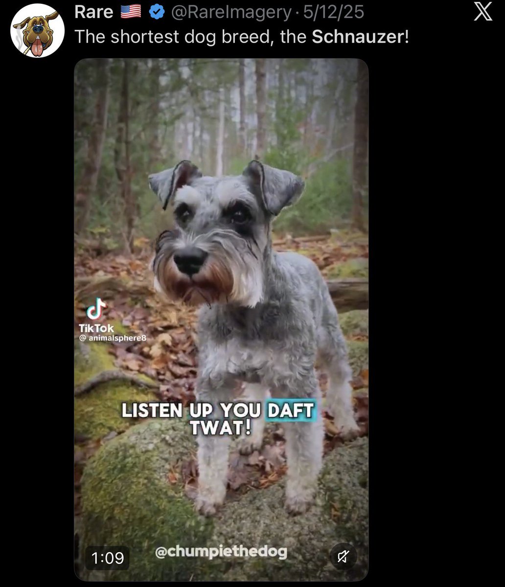 nikitabier's tweet photo. @RareImagery With all due respect:

How much do you expect to be paid for reposting the same video four times in a row that you didn’t even create? https://t.co/aYHmIAnmtO