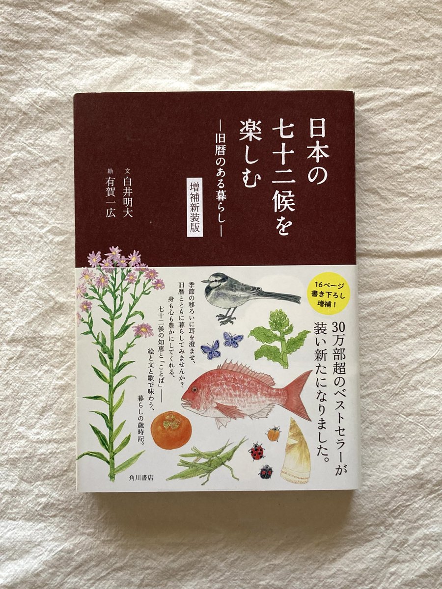 白井 明大 ｜近刊ZINE『日本の憲法 最初の話 ブックレット