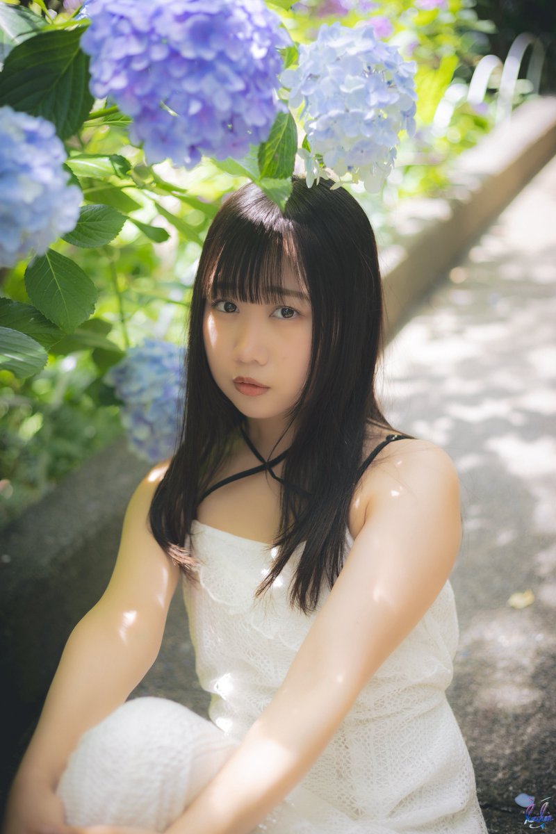 PHOTO__HON's tweet photo. 『 紫陽花が咲く頃 』  #07

#みゆ湯同好会♨️ 

※掲載許可確認済み https://t.co/8VGIAmViry