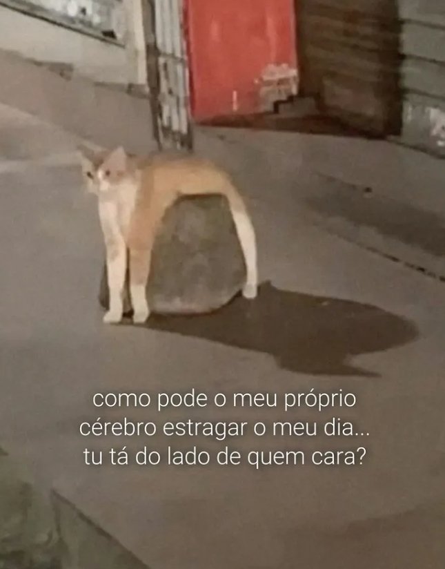 sobreteucaos's tweet photo. COMO????? https://t.co/Mklabj2CeM