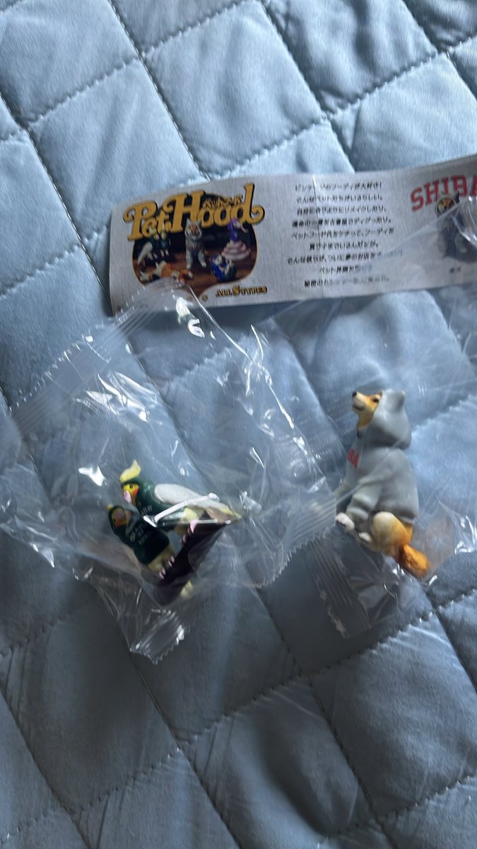 kappa__0's tweet photo. petHood パンダの穴　カプセルトイ
欲しかったものではないので
お譲りします

譲　柴犬　オカメインコ
求　コーンスネーク
または400円定価＋送料
#パンダの穴
#petHood
#オカメインコ
#カプセルトイ https://t.co/fFALgHczcq