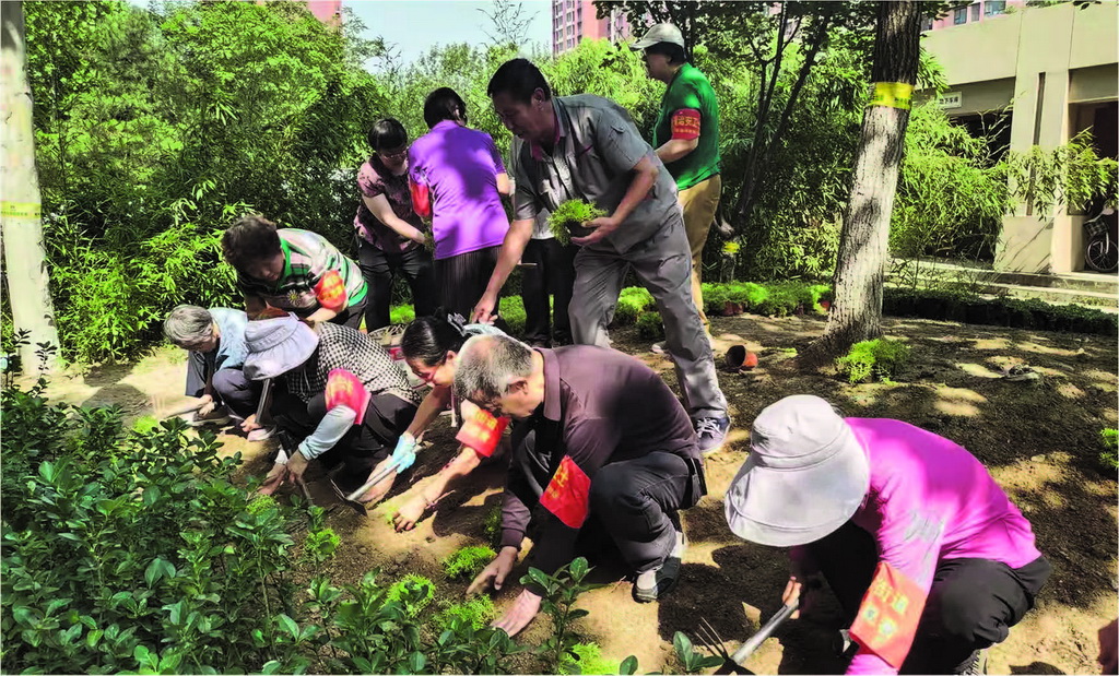 handicom2009's tweet photo. Saturday 10 AM @ Community Park! Free seedling planting + eco-chat. Bring your favorite mug for hot herbal tea. All neighbors welcome! https://t.co/VXrSAiPmgq