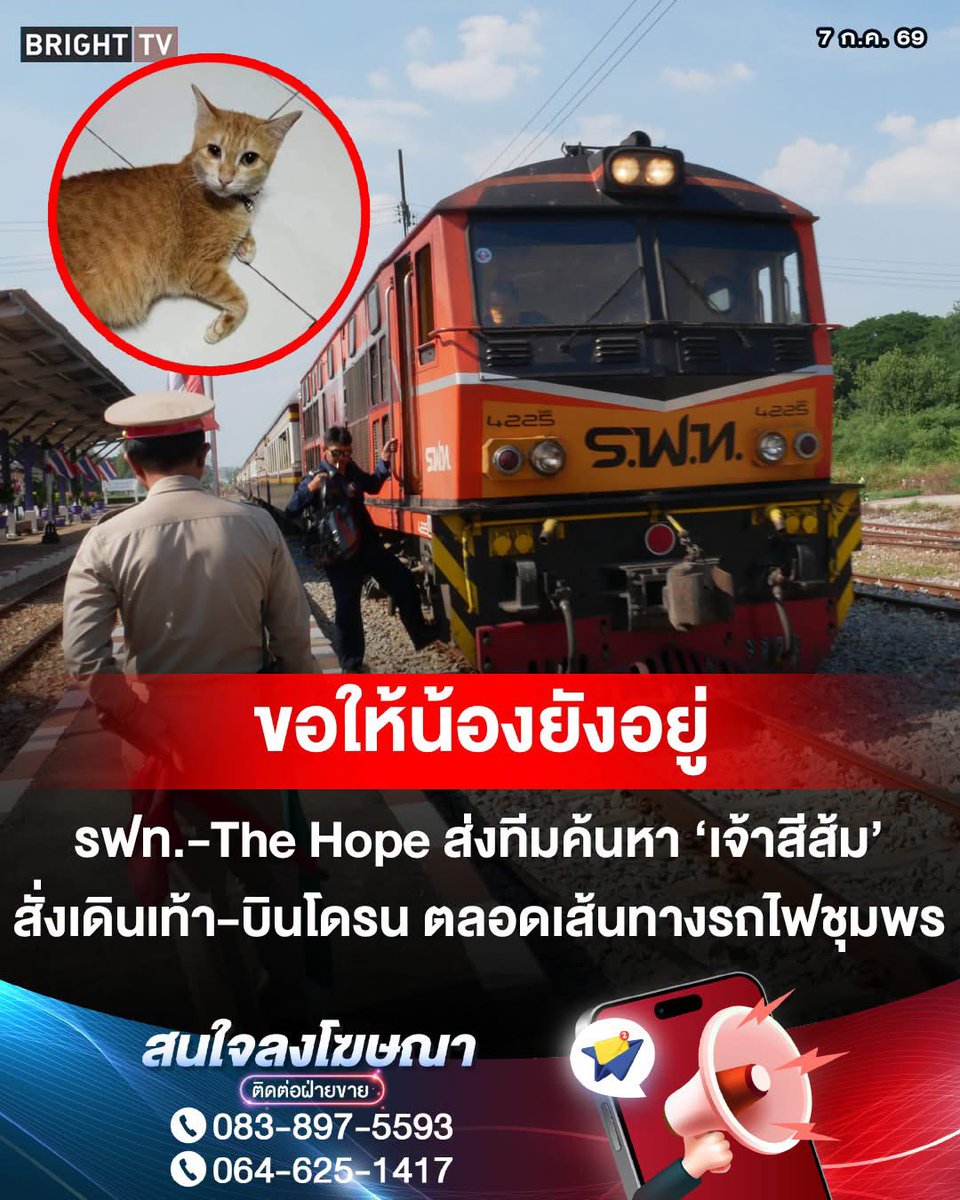pastloverwarm_'s tweet photo. ⚠️อัพเดต The Hope ส่งโดรน-รถตรวจการลุยราง 31 กม. หวังพบ "น้องสีส้ม"⚠️

🔸07/07/69 นายพีระบุญลงพื้นที่สถานีรถไฟละแมด้วยตนเอง พร้อมประสานงานโดยจะใช้ "รถตรวจการ" วิ่งบนรางรถไฟเพื่อสำรวจตลอดแนวระยะทาง 31 กิโลเมตร 

🔸รวมถึงการเดินเท้าและการใช้โดรนบินสำรวจร่วมด้วย โดยมีเจ้าหน้าที่รถไฟที่อยู่ในเหตุการณ์ร่วมชี้จุดสำคัญ

🔸ด้านคดี นายพีระบุญแจ้งว่าลงบันทึกประจำวันที่ สน.ทุ่งสองห้อง ทำเพื่ออำนวยความสะดวกในการค้นหาเท่านั้น

🔸 ไม่ได้มุ่งเน้นการฟ้องร้องเอาผิด เป้าหมายคือการเร่งตามหา "น้องสีส้ม" ให้เร็วที่สุด ก่อนที่จะเกินขีดจำกัดที่แมวจะอดน้ำและอาหารได้

ภาวนาขอให้พบเจอตัวน้องสีส้ม น้องอดอาหารและไม่ได้ขับถ่ายมาเป็นเวลา 7 วันแล้ว ขอให้น้องปลอดภัยแล้วพบเจอคนดีๆ🥹

Cr.Bright TV