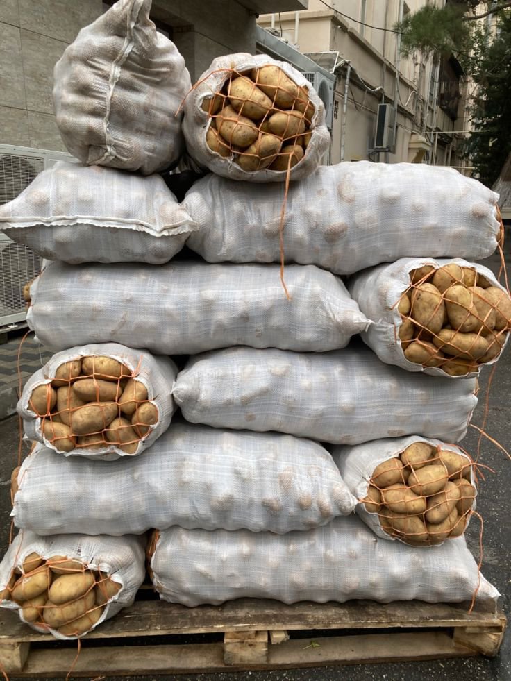 Berrychexplace's tweet photo. This sweet potato is 40k
I deliver nationwide https://t.co/jGeTrg6Lnj
