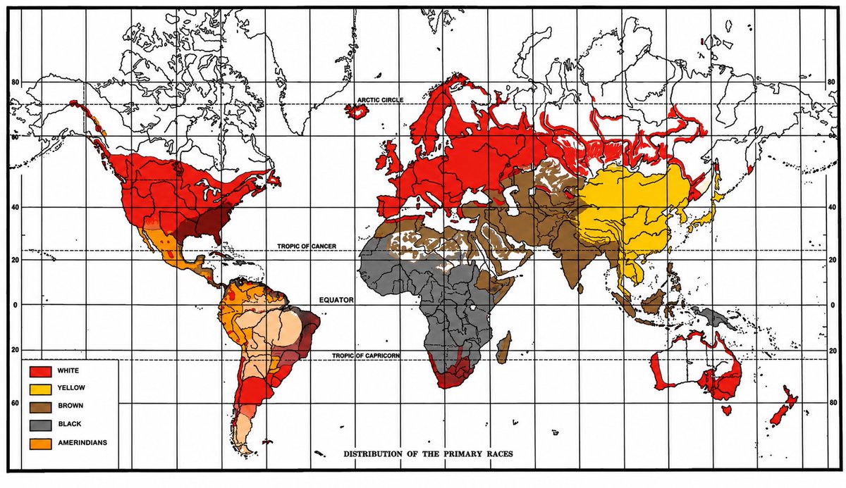 RaphaelZaoui67's tweet photo. Carte des "races humaines" par L. Stoddard en 1920 dans "The Rising Tide of Color."
โข #Whites 550M
โข #Yellows 500M
โข #Browns 450M ("monde arabe", "monde turc", Iran, Inde)
โข #Blacks 150M
โข Amerindians <40M
#genetics #races https://t.co/uuLR3entyq