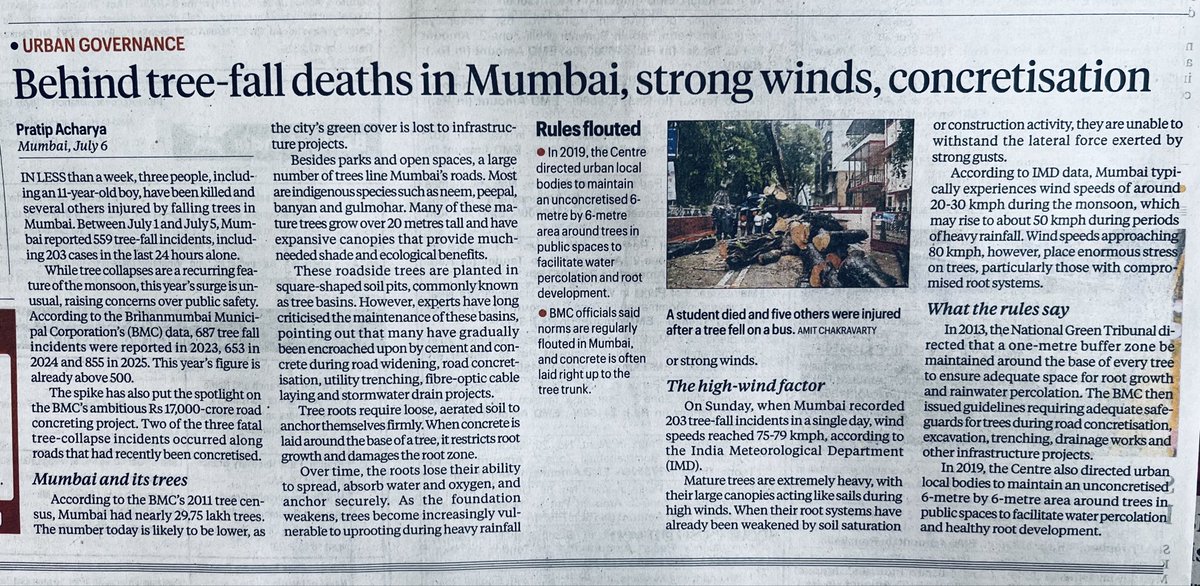 PradeepHardikar's tweet photo. Concretisation upto the tree trunk is the main reason for frees falling.
Roots need to be strengthened and that requires water.
@PMCPune learn from mistakes in Mumbai.
#PuneRoads https://t.co/2ts4KgbD5V