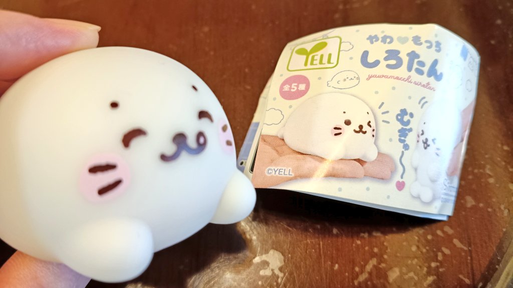 funichann's tweet photo. 夫🙂が「しろたんのガチャガチャあったから買ってきたよ」だって。かわいい。 https://t.co/6DhXuY8O47