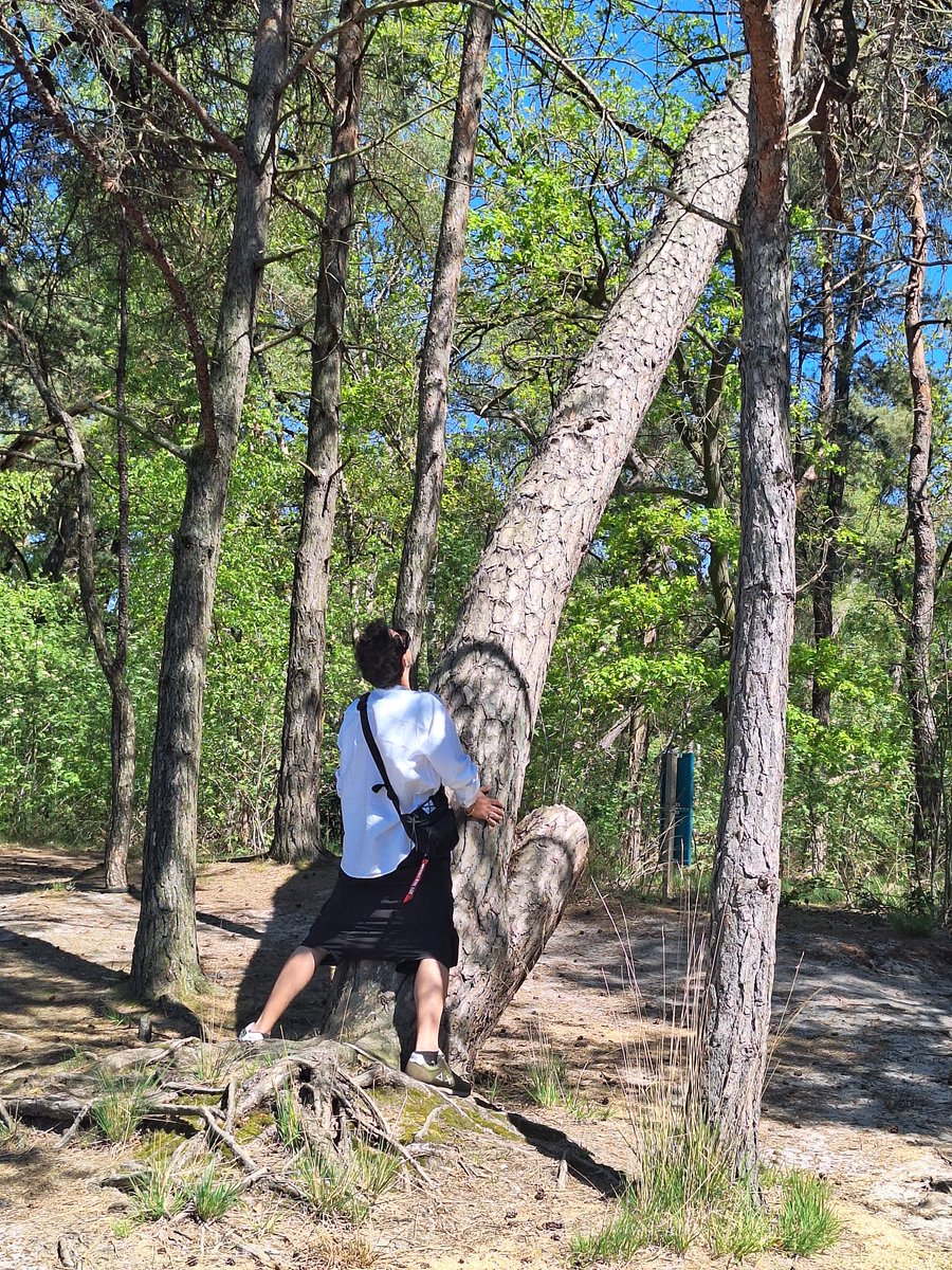 Aesthetic1333's tweet photo. .
Found a tree that matches my personality...
and maybe a few other things.
Mother Nature, you’re making me blush! 🌳😏
#DeepRoots #NaturePorn #TreeTrunk
. https://t.co/Og3D3GDKK4