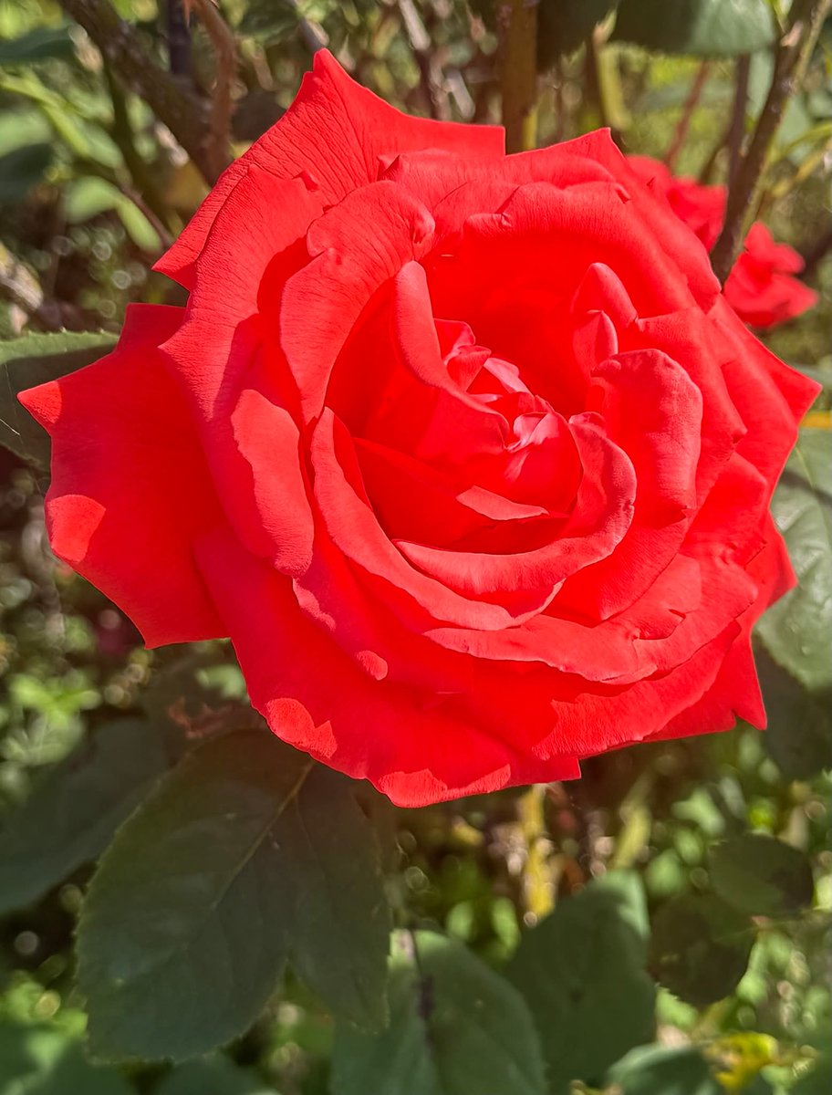 ChakraHiyam's tweet photo. https://t.co/zF5TyEjZdm