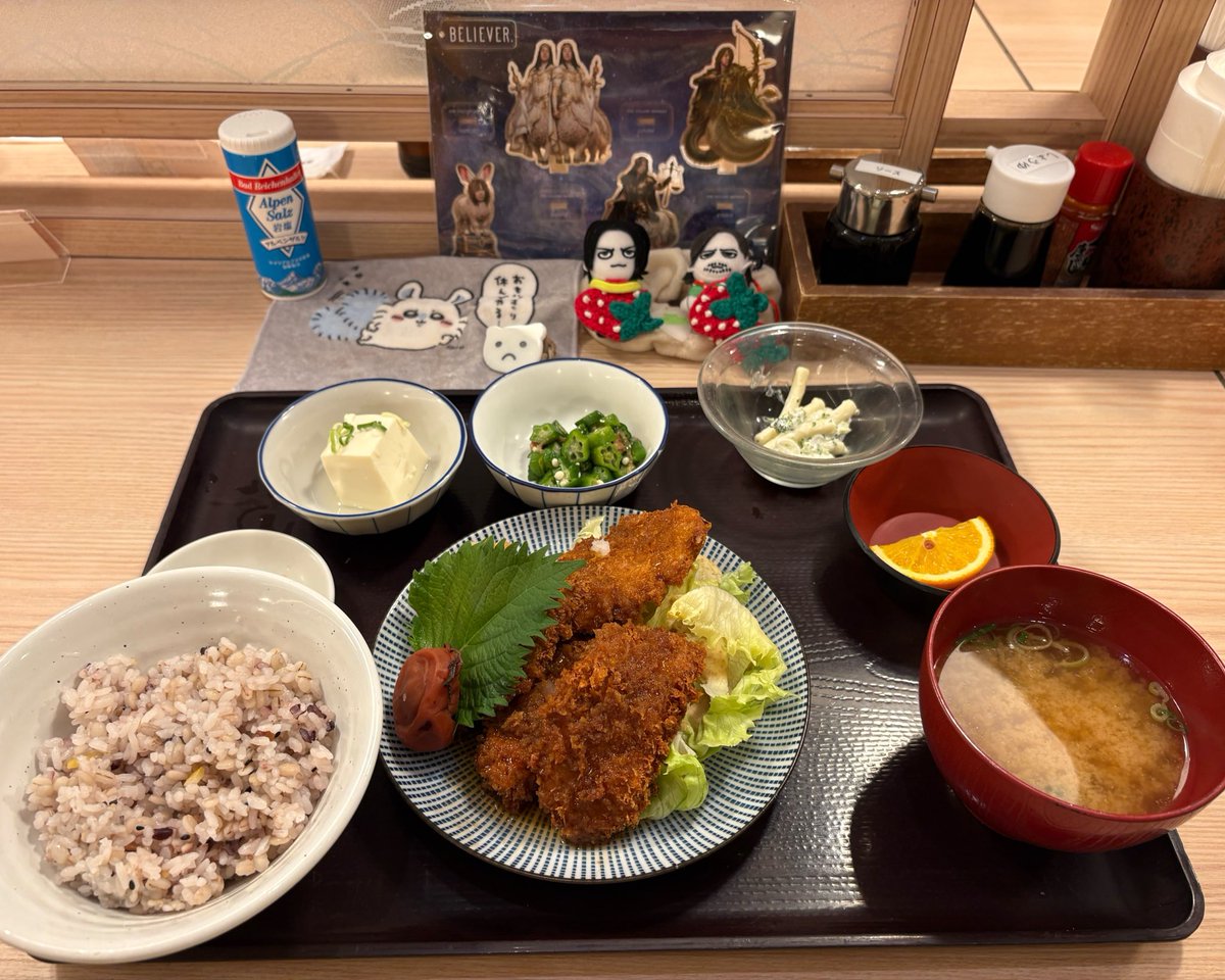 nectaring's tweet photo. まぁ梅おろしカツでも食うて🍀緑の近くで休憩🌿🐒believer fish🐟一丁上がりッ🌬️ https://t.co/dMVNgOapOg