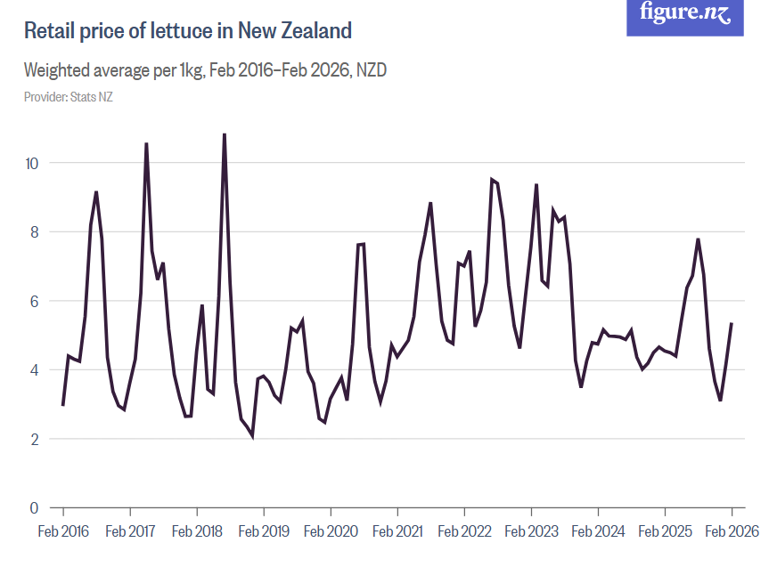 BevLettucePatch's tweet photo. @adnanbelushi @actparty [Fixed] This is the price history of lettuce (though I don't know who buys it by the kilogram).  Not soaring prices so much as supply and demand volatility.  Weather mainly.  If you want price controls on top of that, supply will decrease. https://t.co/v12w0l6z4d