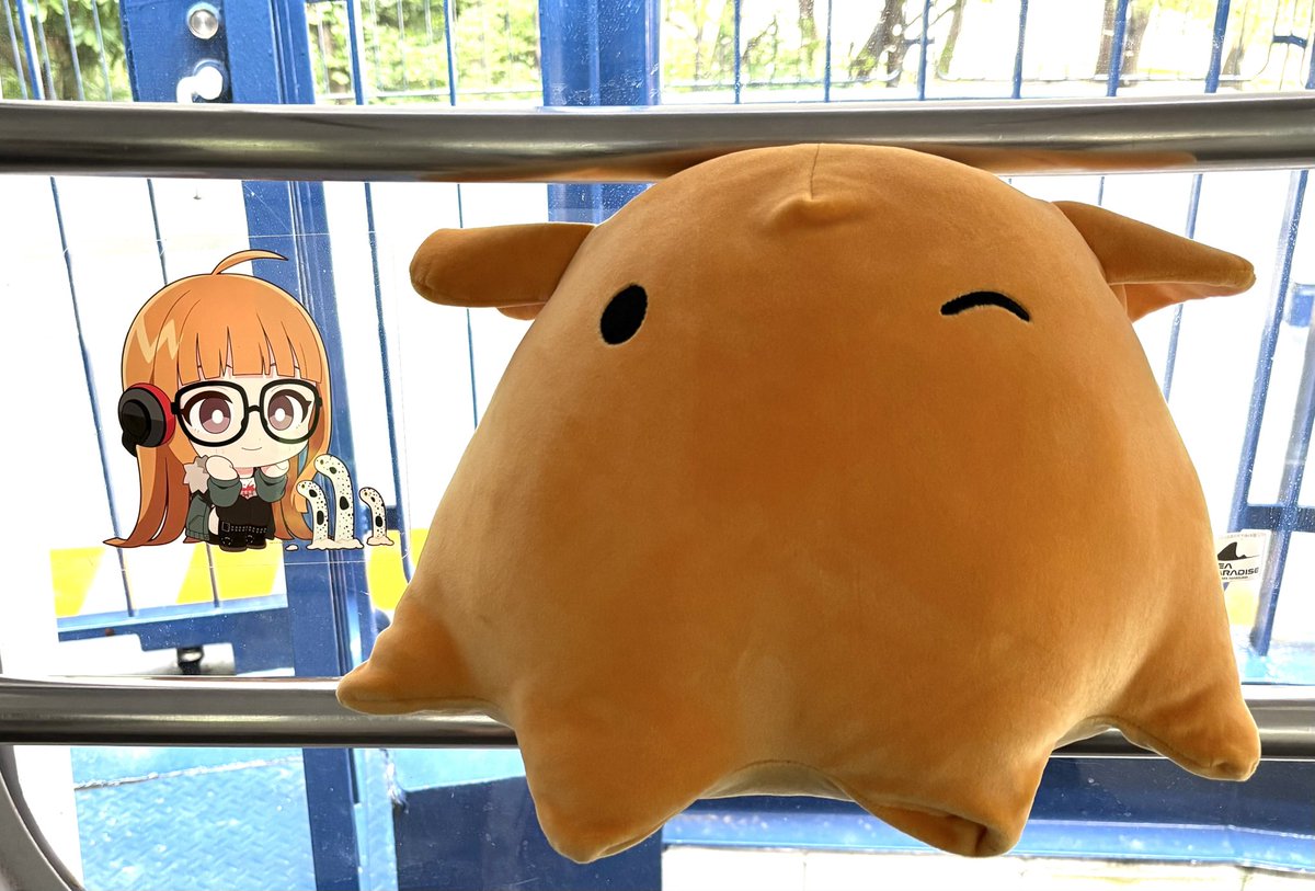 3illiaoi's tweet photo. スタンプラリーの途中でめんだこのくじ引いたら、わりと大きめのが当たったので、めんだこ抱えながら歩き回る人になりました。笑 https://t.co/Zs3n7Yogk1