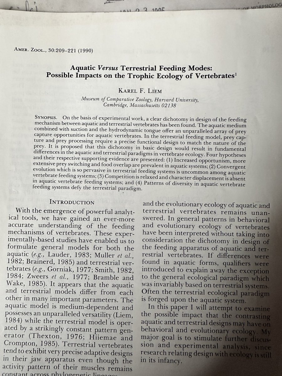 dnltbing's tweet photo. Yg mungkin hampir semua WNI gak tau: salah satu prominent functional morphologists di dunia, yg jg profesor di Harvard, itu asalnya dari Indonesia… 

Ini salah satu paper dia yg keren banget https://t.co/hJmUiuq3xD