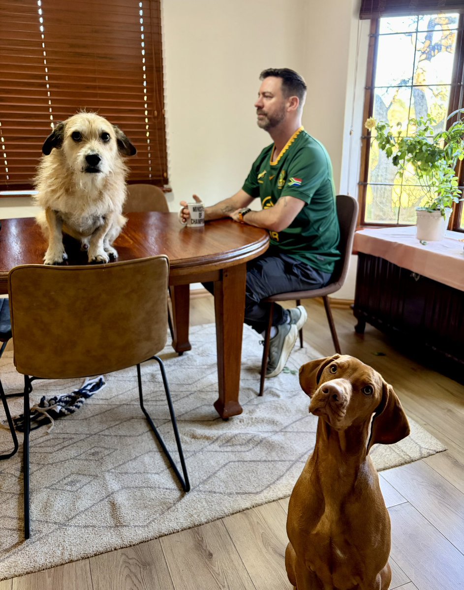RoryPetzer's tweet photo. Waiting for Cyril Ramaphosa to ask World Rugby to overturn that forward pass at the end which would’ve given Springboks 50 points on Saturday. https://t.co/XAovGGPpzu