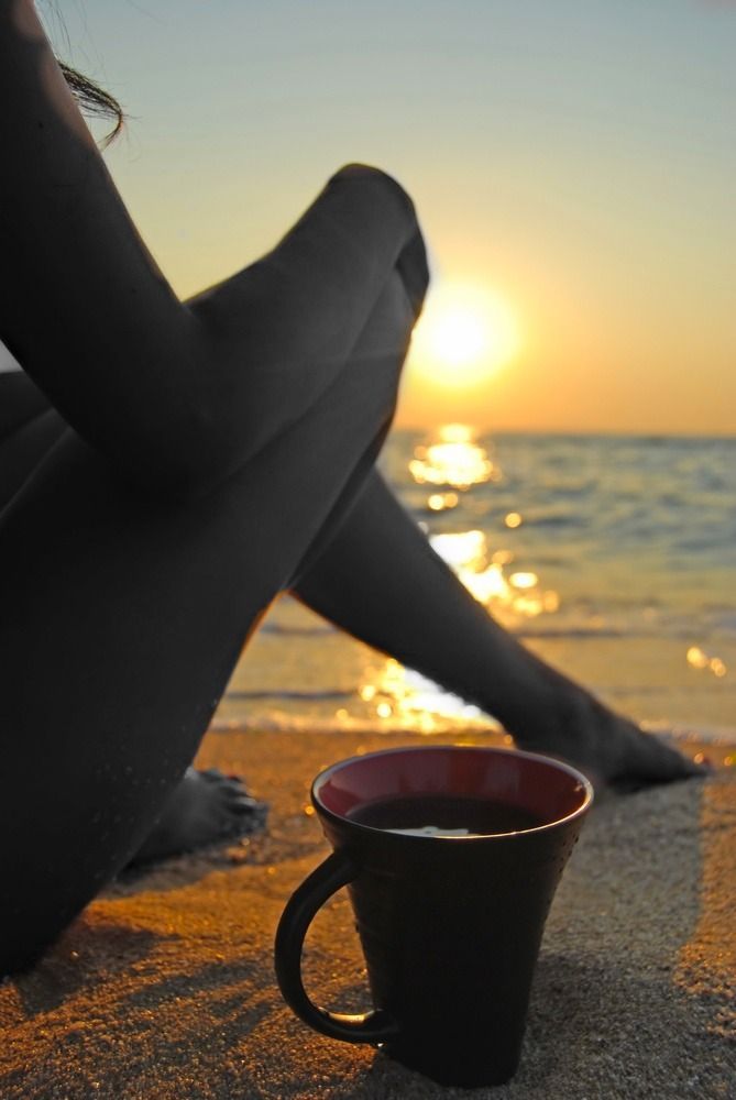 Mara59628085's tweet photo. De vez en cuando la vida 
toma conmigo café 
Y está tan bonita que da gusto verla. 
Se suelta el pelo y me invita 
a salir con ella a escena....❤️🌹

J.M. Serrat https://t.co/QTcpB9c9ml