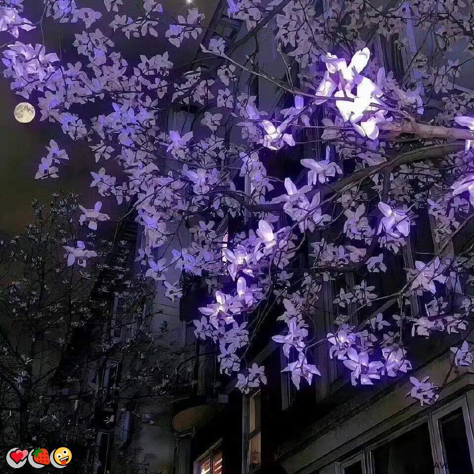 WilsonMyra53568's tweet photo. 🌟 😃 ✨ 💖 ❤️
🙌口交👍肛交💝校园😁玉足💖榨汁机😍自慰😎性瘾👏调教🔥大奶😀瑜伽裤😋熟女🎉白丝

企鹅裙：1818089

X：@zhien52000

飞机：zuoyi1v1

裸聊/连麦/文爱/调教/寸止 https://t.co/7qmzSHNbmc