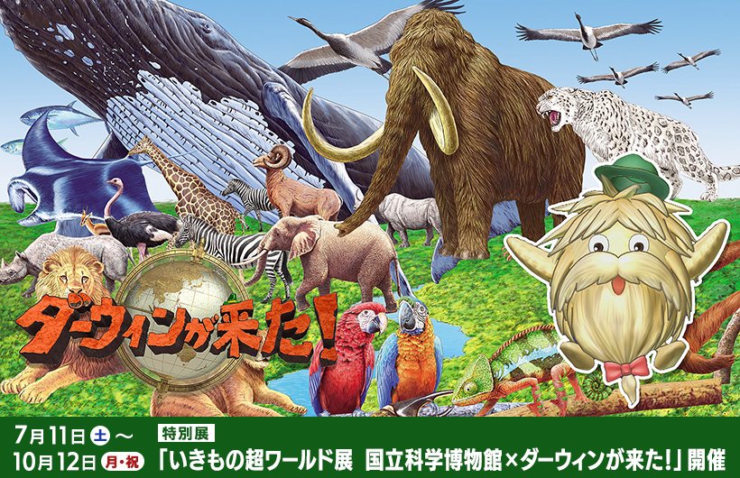 NHKキャラクターショップ【公式】 (@nhk_character) / Posts / X