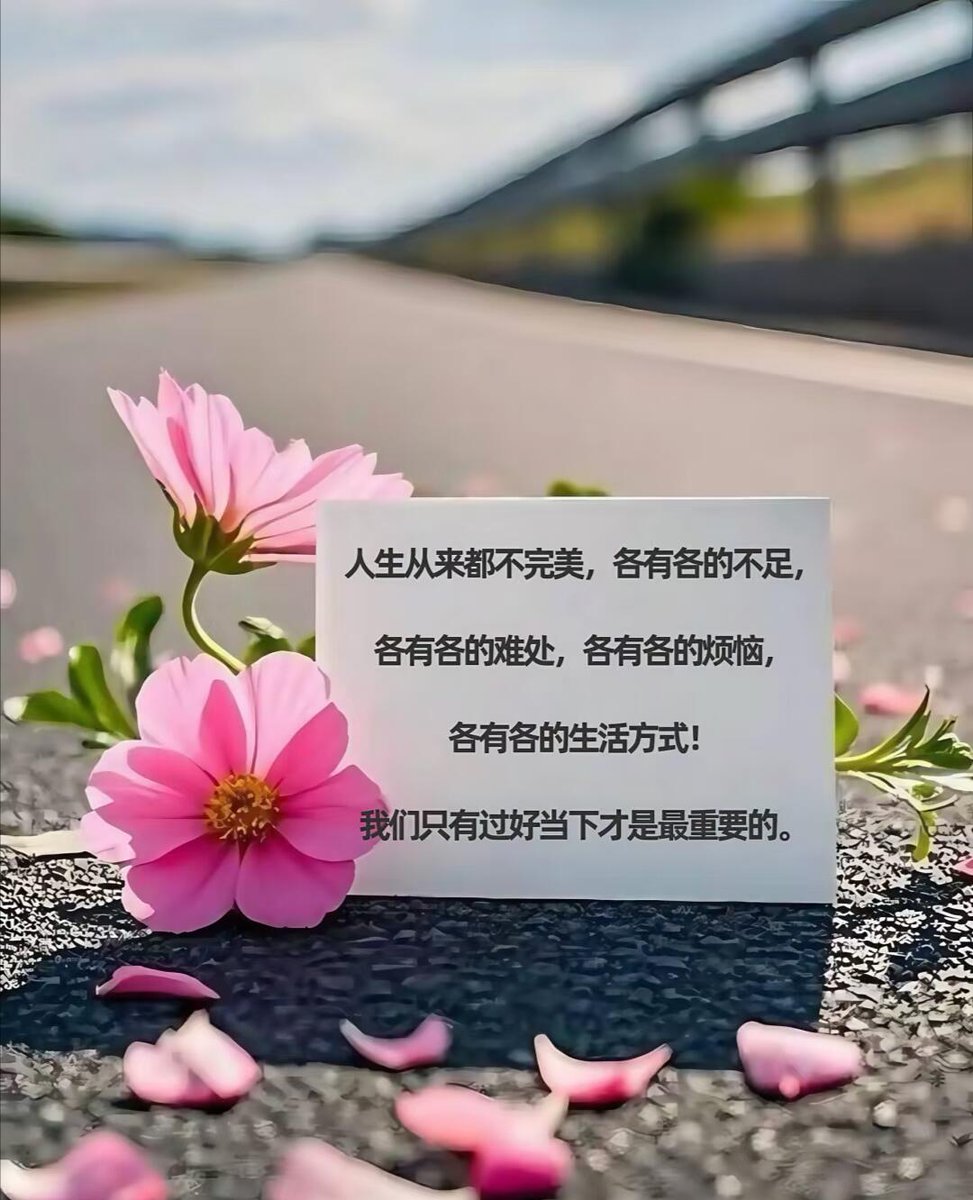 Ynsh tweet media