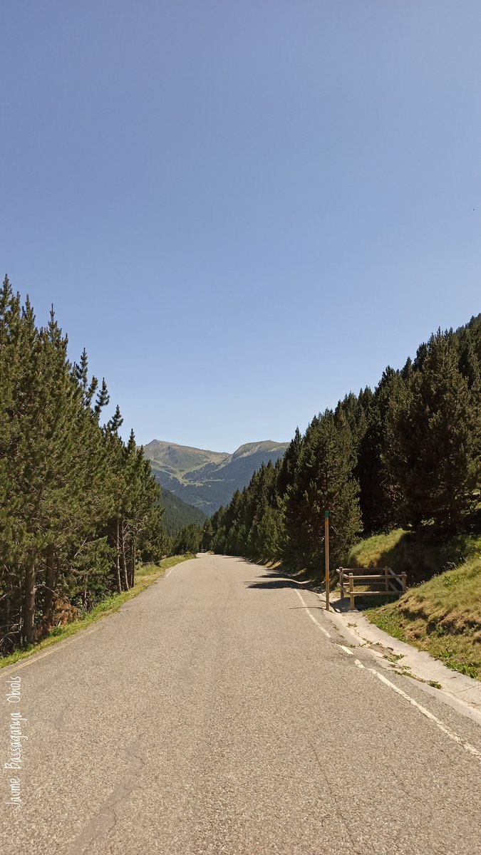 JaumeBassObiols's tweet photo. Molt bon dia a tothom!!!
#ComadeRansol #Canillo #Andorra #Pirineu #Bicicleta https://t.co/fYXa9QyWIW