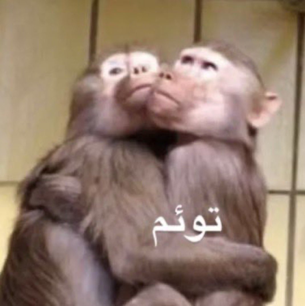 vegasCEO_'s tweet photo. @23kaaf @epithmia متتت شطورتي والله https://t.co/QMM84U5TDv