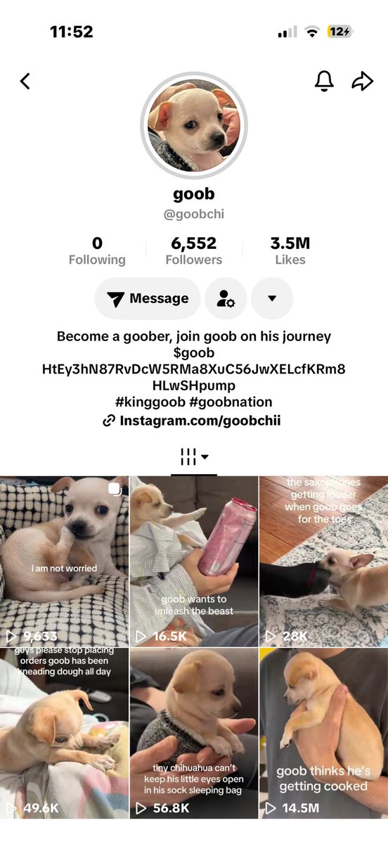404MeaningNF's tweet photo. #Goobto10k #Goob #ansem #bagwork $Goob https://t.co/Nx89Ao2PFN