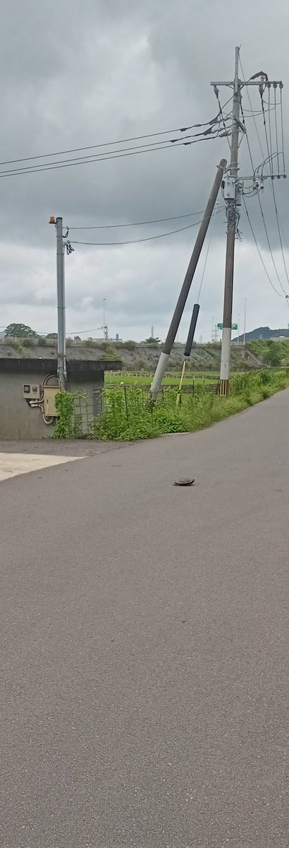 rystyamanaka's tweet photo. #亀
亀さん
そんな所で休んでて大丈夫？
こ��車通り多いよ。
渡りきると
すぐ小川なので頑張ろう。

🎤
ガメラ〜
ガメラ〜
強いぞ!
ガメラ
強いぞ!
カメラ
強いぞ!
カメラ〜 https://t.co/FmJFQMk71y