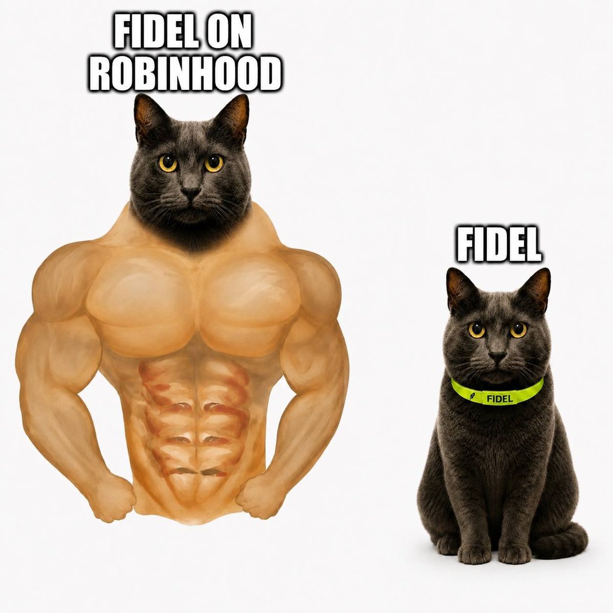 $FIDEL tweet media