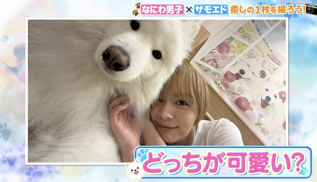 ry_u087's tweet photo. こんな神コンテンツ頂いていいんですかすぎてやばいほんとに꒰՞ɞ̴̶̷̥⩊ɞ̴̶̷̥՞꒱ https://t.co/dAchSji2Ih
