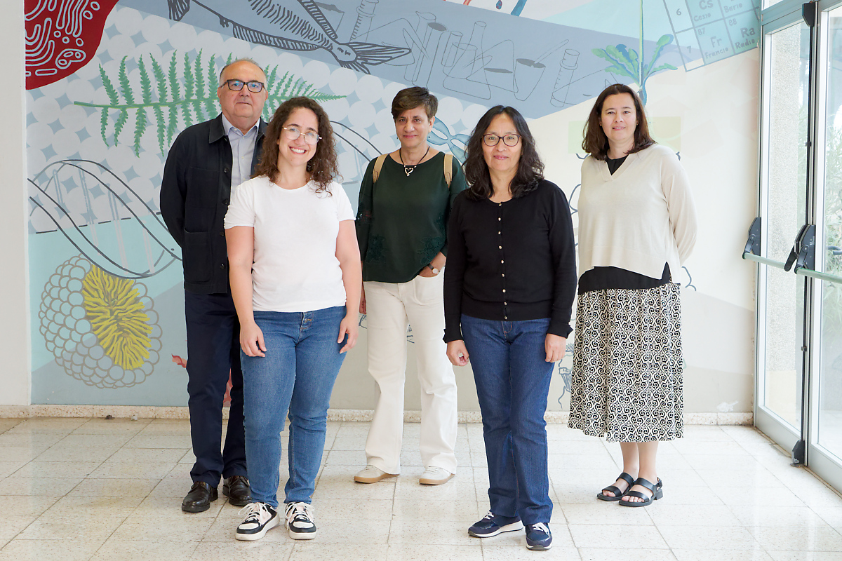CienciaULL's tweet photo. 🔬#CienciaULL ha elaborado un reportaje con motivo del Día Internacional de la Biotecnología junto a investigadores de la @ULL 

"La biotecnología y sus múltiples aplicaciones" 👉 https://t.co/ezBftnPjN7

#CalendarioInvestigaULL @cajasiete @FECYT_Ciencia https://t.co/KOmY0nnksv