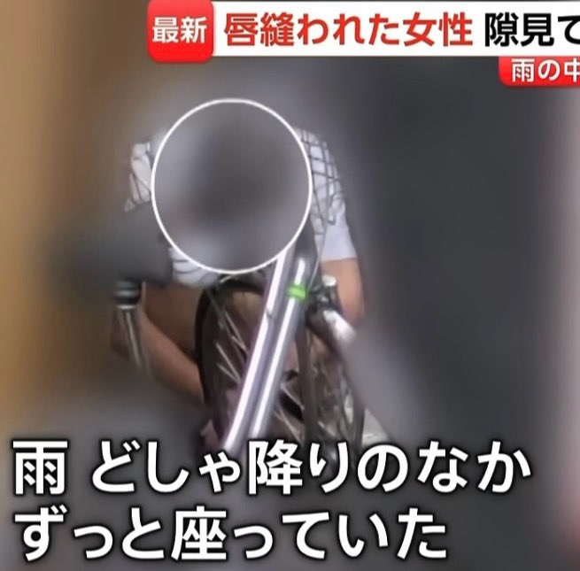 サナエトしんじろう tweet media