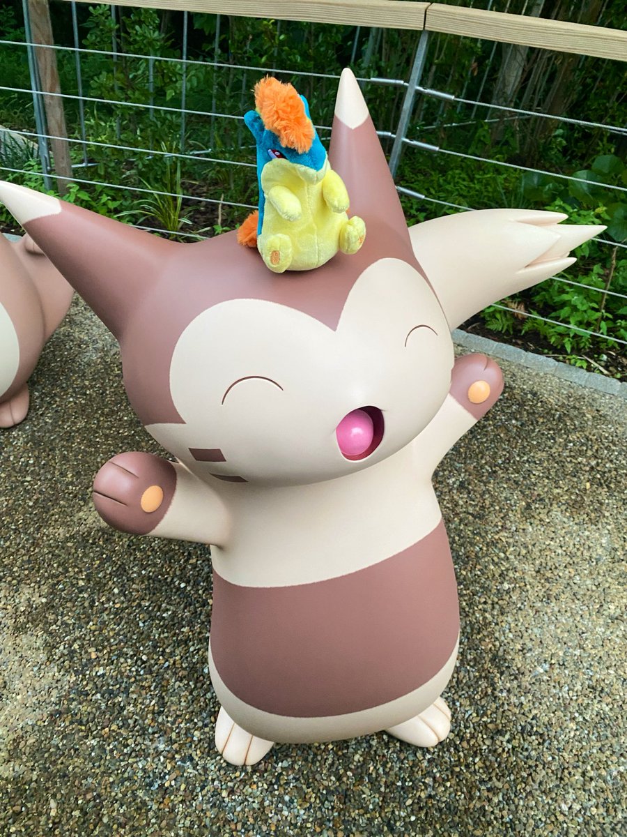 yrchampi's tweet photo. マージで楽しすぎた…！！
思ったよりちゃんとポケモンのテーマパークだった…すごいよかったわよ…。

とりあえず見せれるとこだけ！
ジラーチてゃとみんなの願い事叶えに来た！

楽しかったけど足パンパン！

かえるます！ https://t.co/PjGcTw0CQa