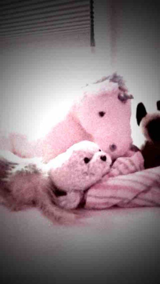 daughftur's tweet photo. Unicorn🦄 https://t.co/Z1z2QnpQ0x